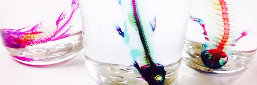SCITA_staff's profile banner image