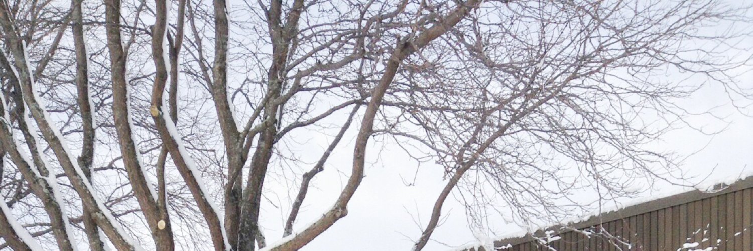 aldocomet's profile banner image