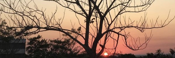 BrownSwan8 Profile Banner