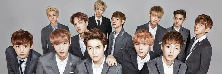 bunbun ✨️ banner