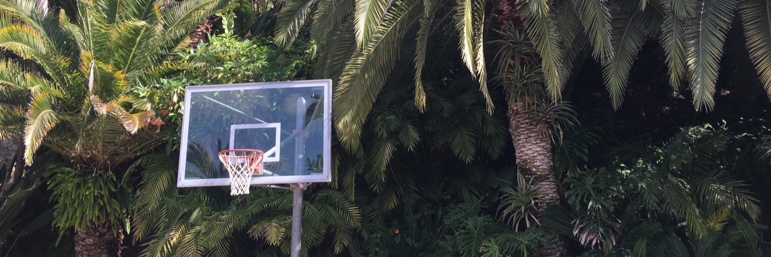 aaron_in__LA's profile banner image