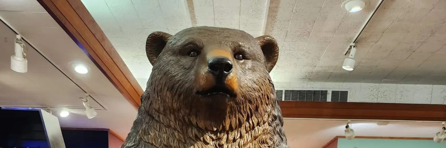 JordanISaBEAR's profile banner image