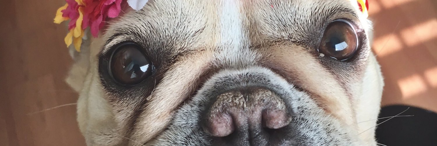 TheFifthLetter's profile banner image