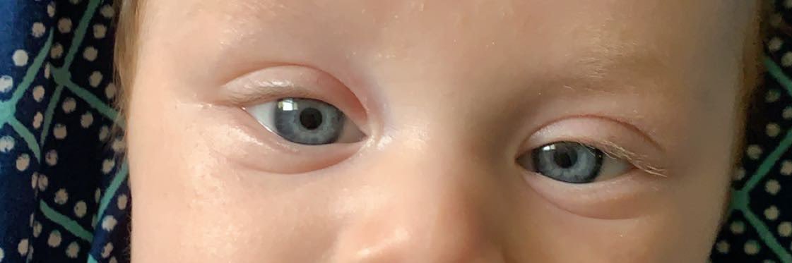 meg_herrinn's profile banner image