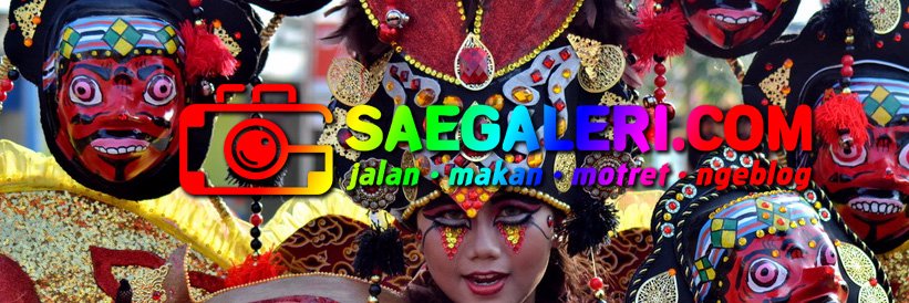 saegaleri's profile banner image