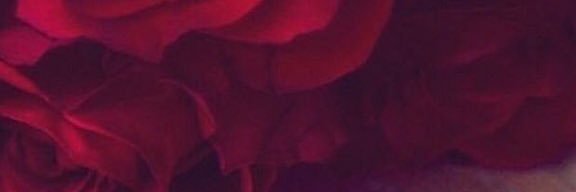 Anagir01's profile banner image