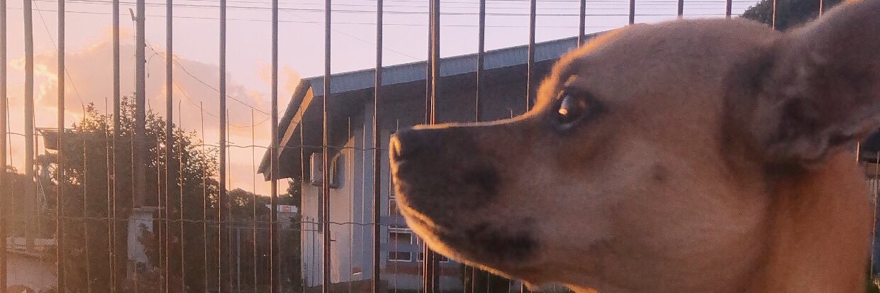 cfdaniiii's profile banner image
