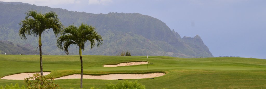 LCHS Girls Golf banner