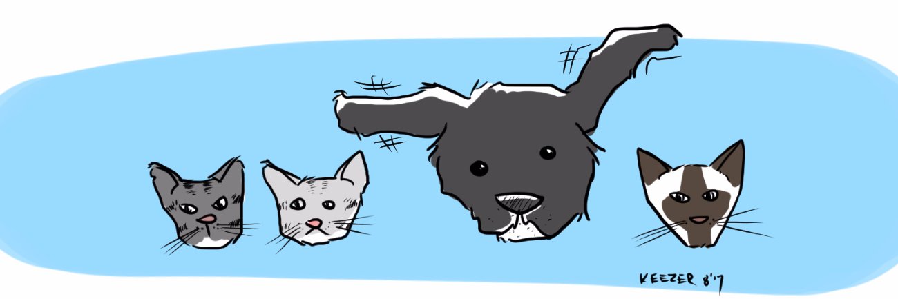 LarryvilleLite (Jason Keezer) banner