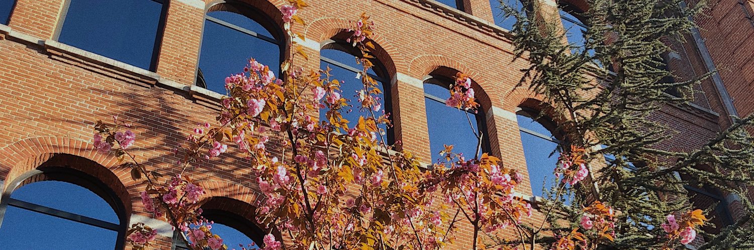 sekarutm's profile banner image