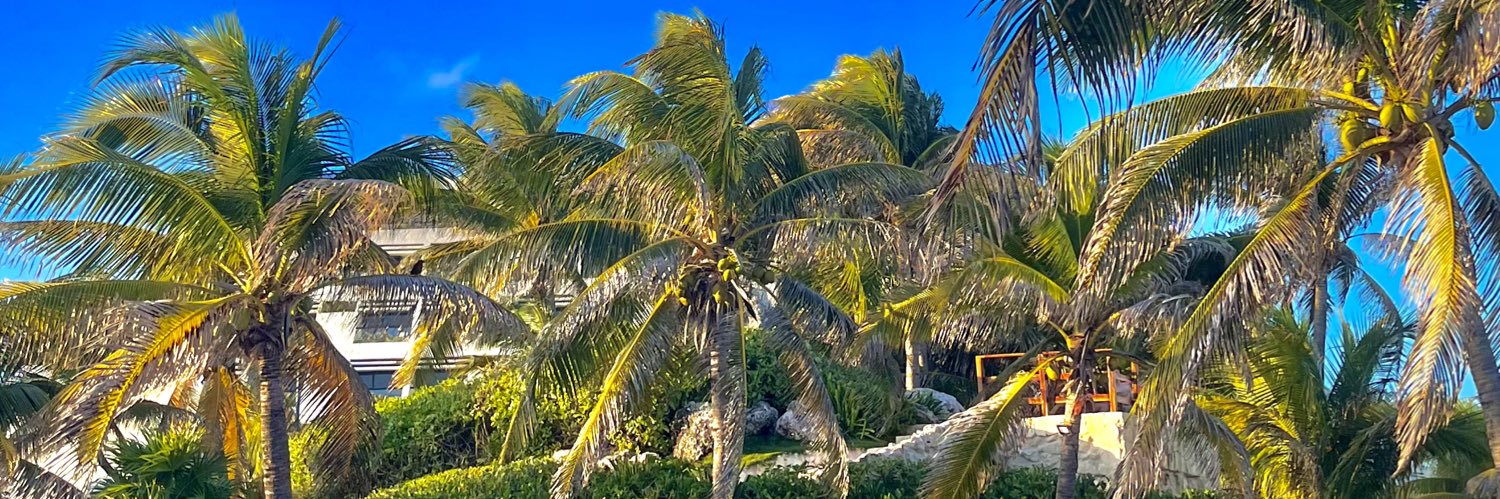 abruimboden's profile banner image