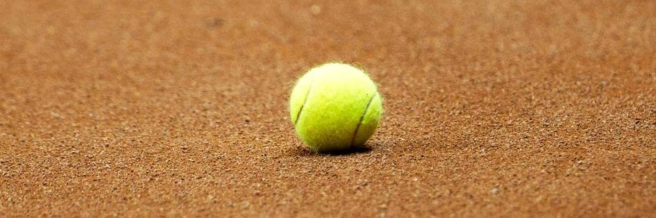 Christian Frühwald banner