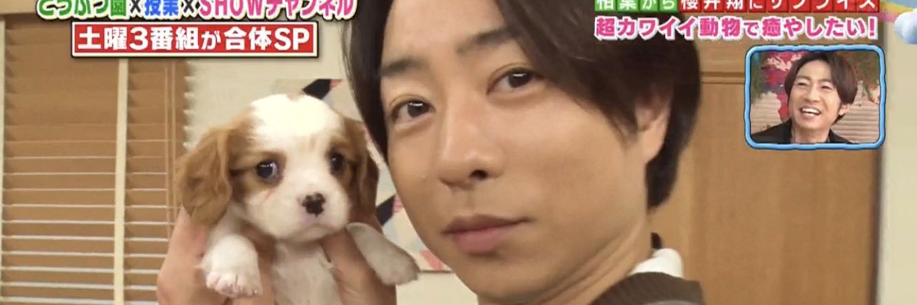 _arsho's profile banner image