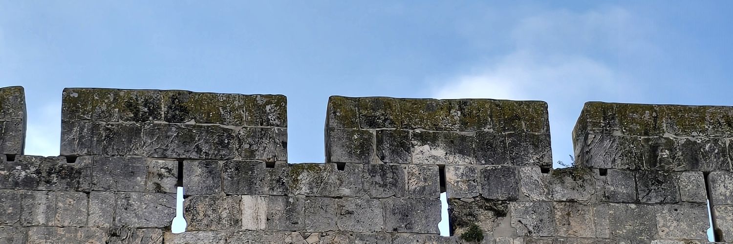Alberto Melloni banner