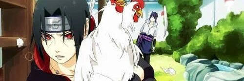 ChickenNoChick's profile banner image