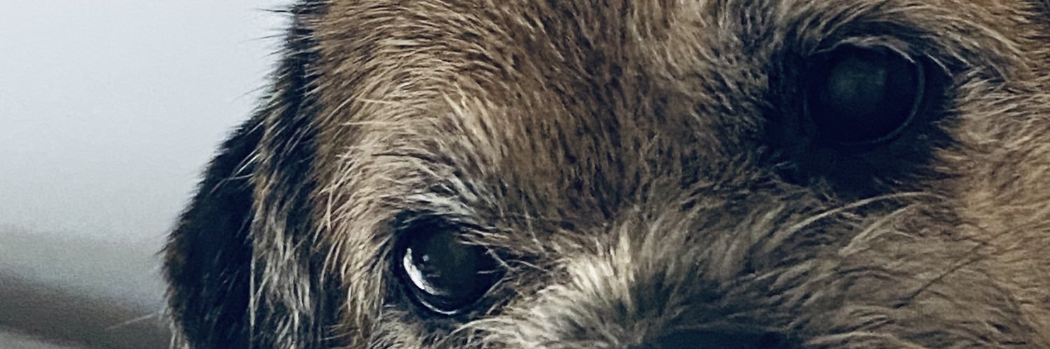 vivmalcolm's profile banner image