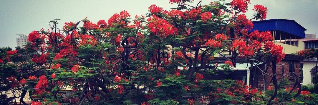 Taanusree Bose তণুশ্রী বোস banner