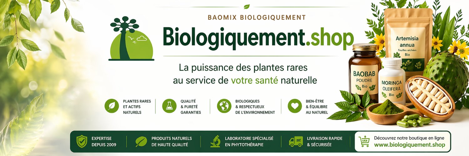 baomix's profile banner image