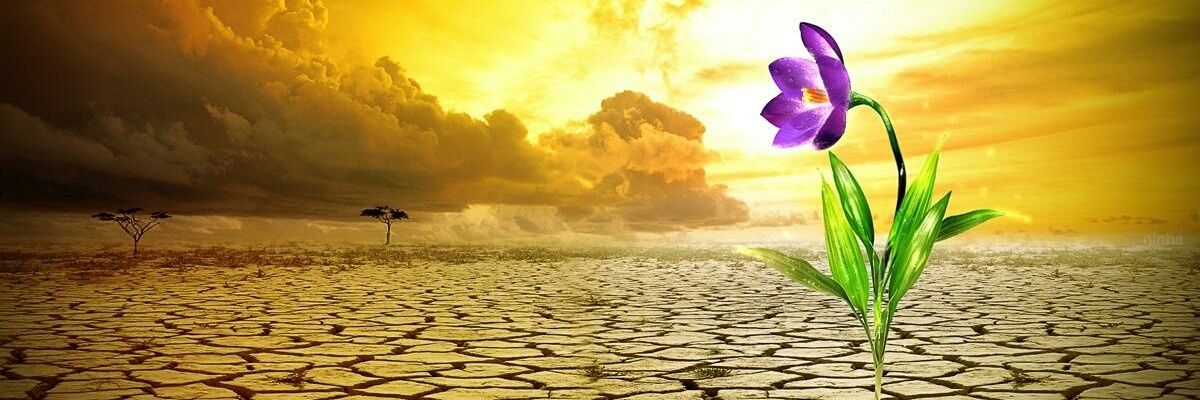 prener's profile banner image