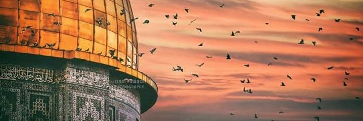alaminealg's profile banner image