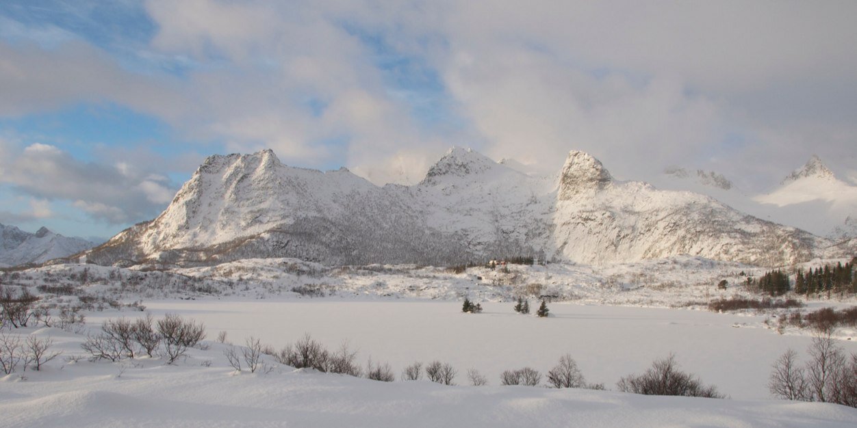 Baudewijn Odé banner