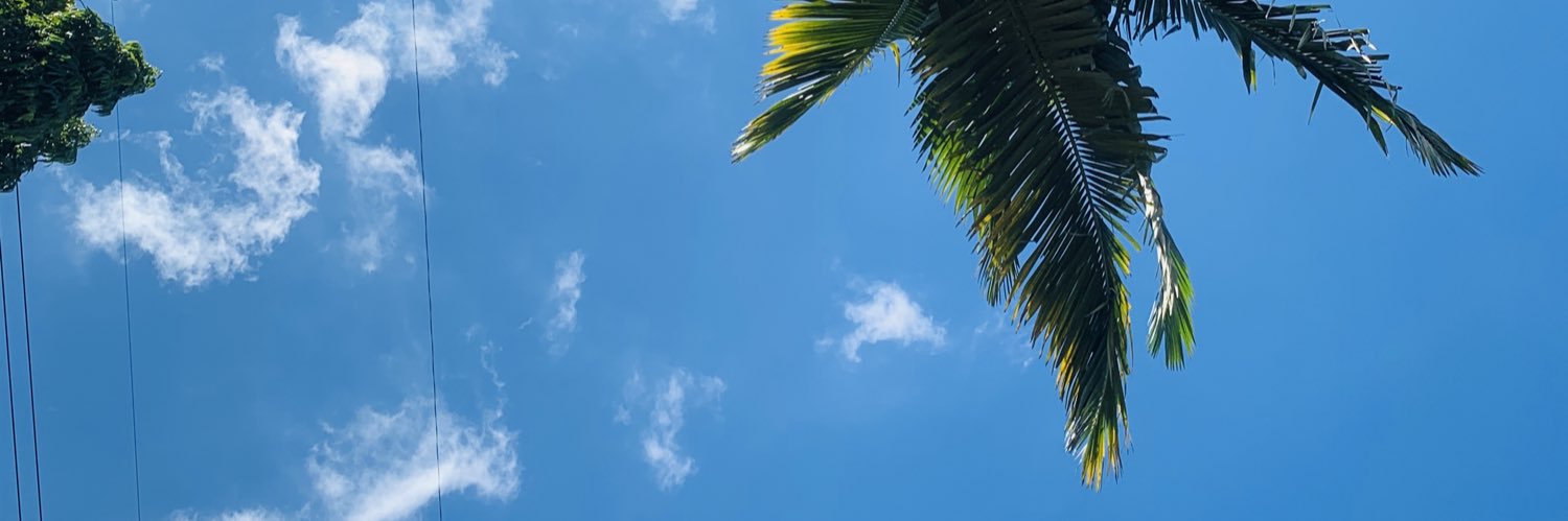TevinRx's profile banner image