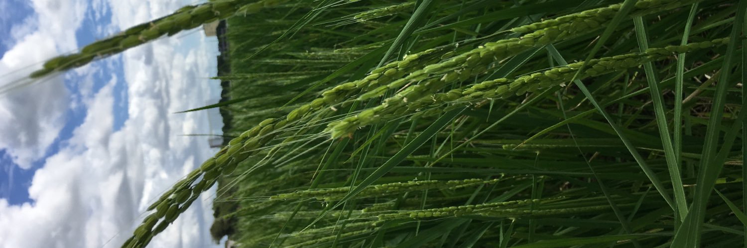 ma9ro@顔面神経麻痺 banner