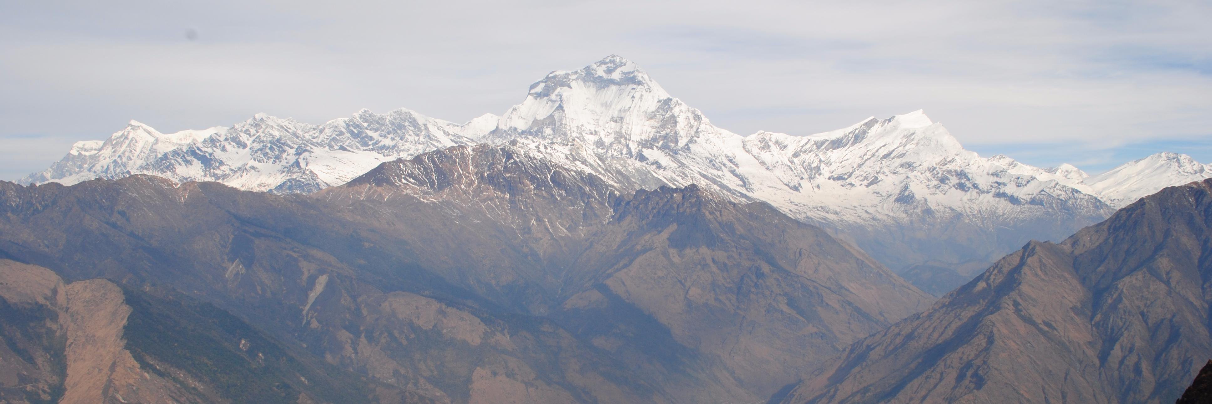 Martin Michette banner