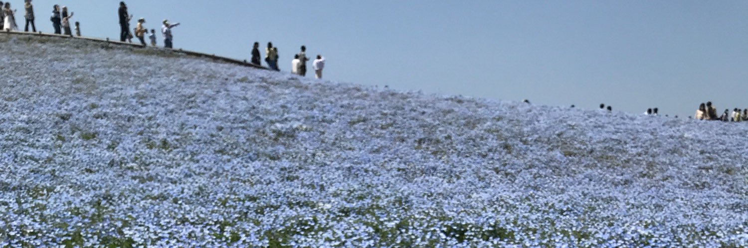 misosiruu's profile banner image