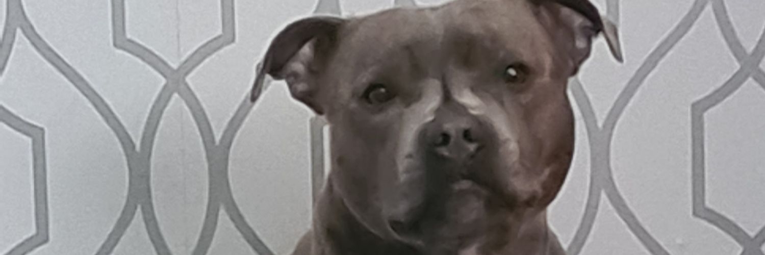 mumsaid_so's profile banner image