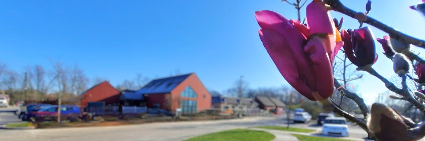 ywcacolumbus's profile banner image