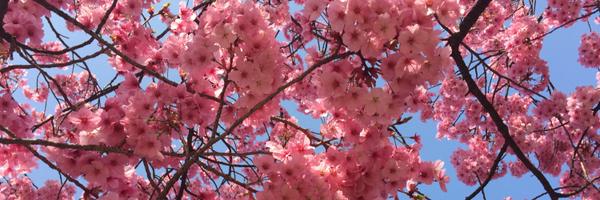 mitchmanuel Profile Banner