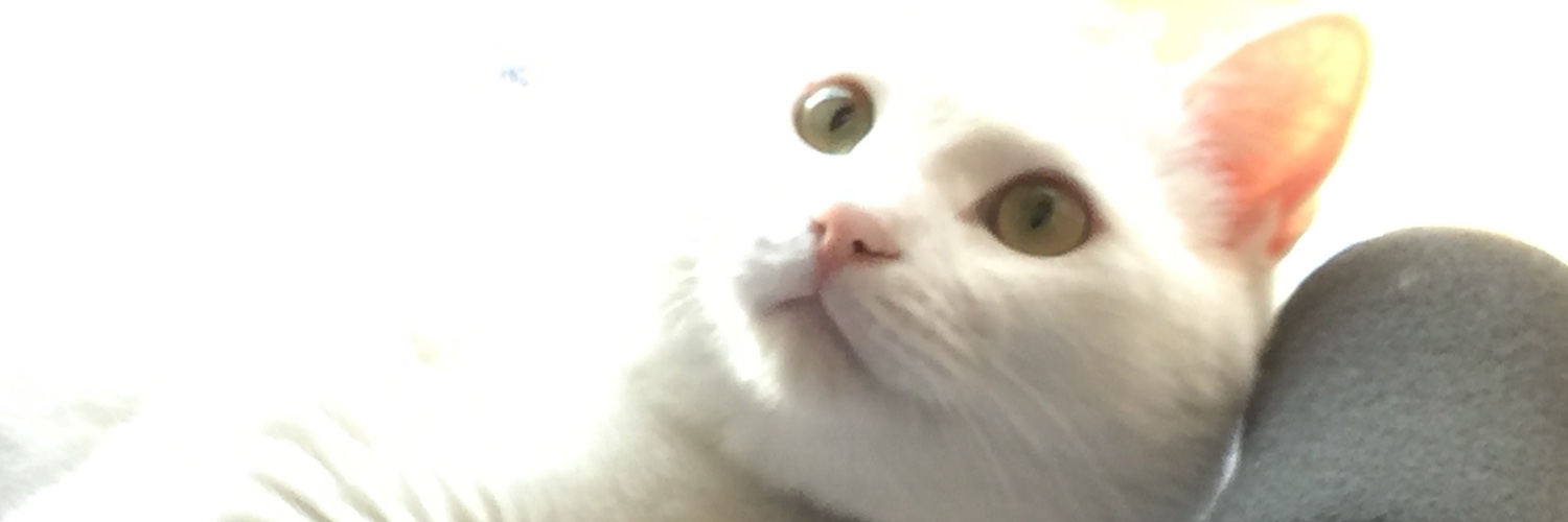erusiti's profile banner image