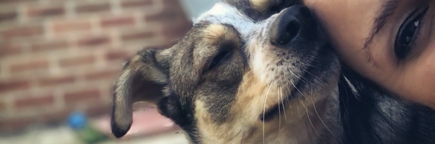 bunnybell78's profile banner image