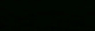 Zeizp❄️ banner