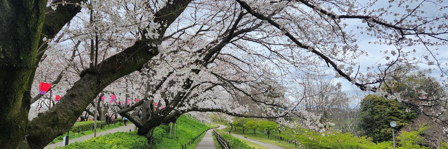 えりっくん banner