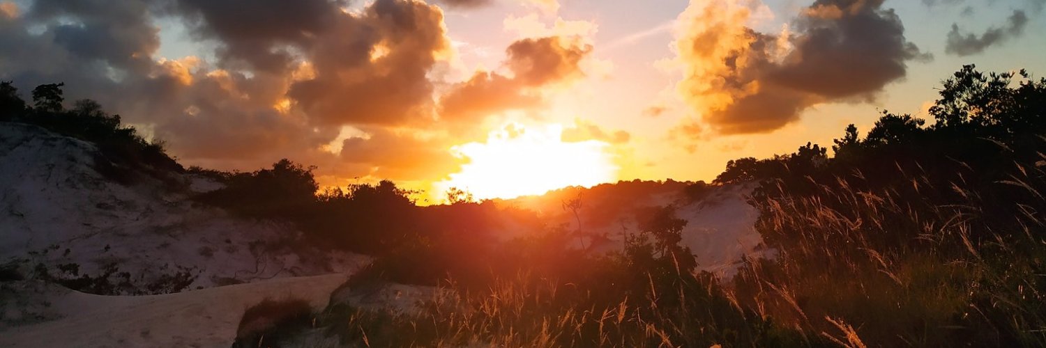 BrunoRiggs's profile banner image