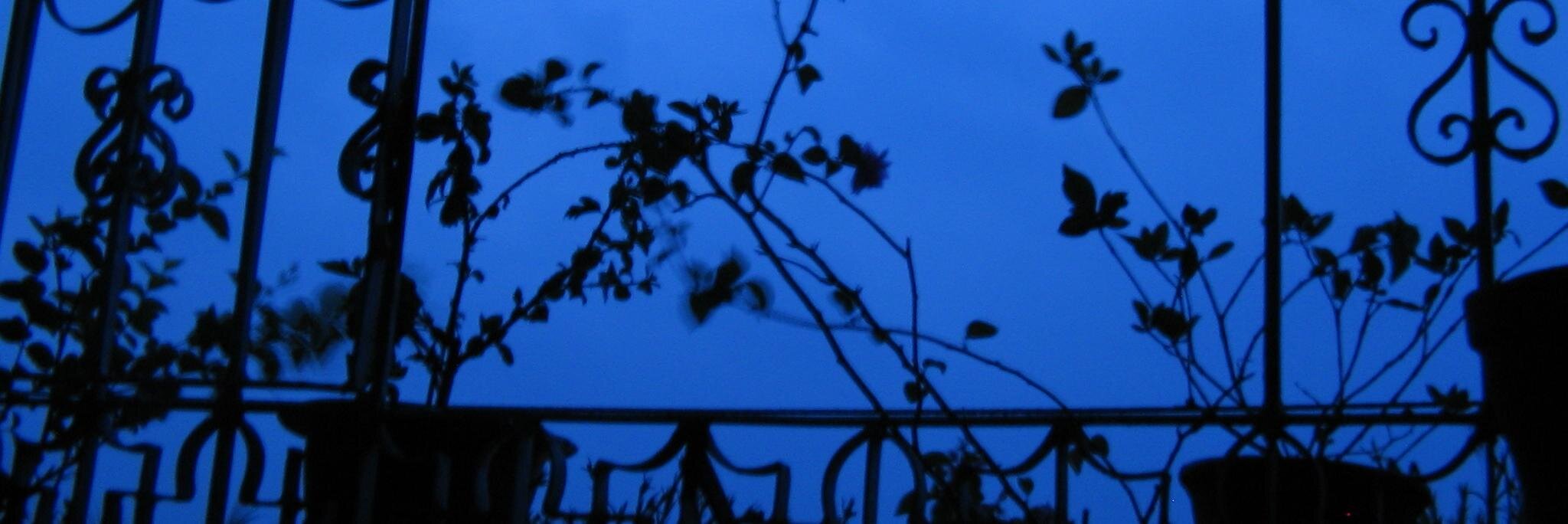 ranioli's profile banner image