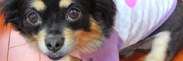 destrade Profile Banner