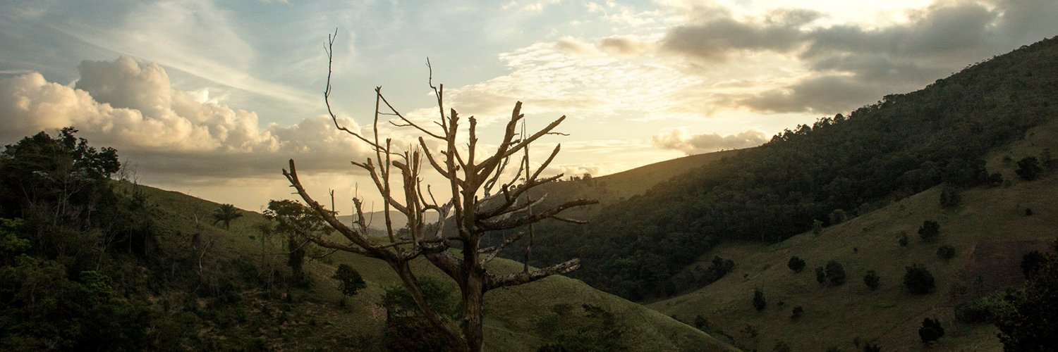 Siga_Will's profile banner image