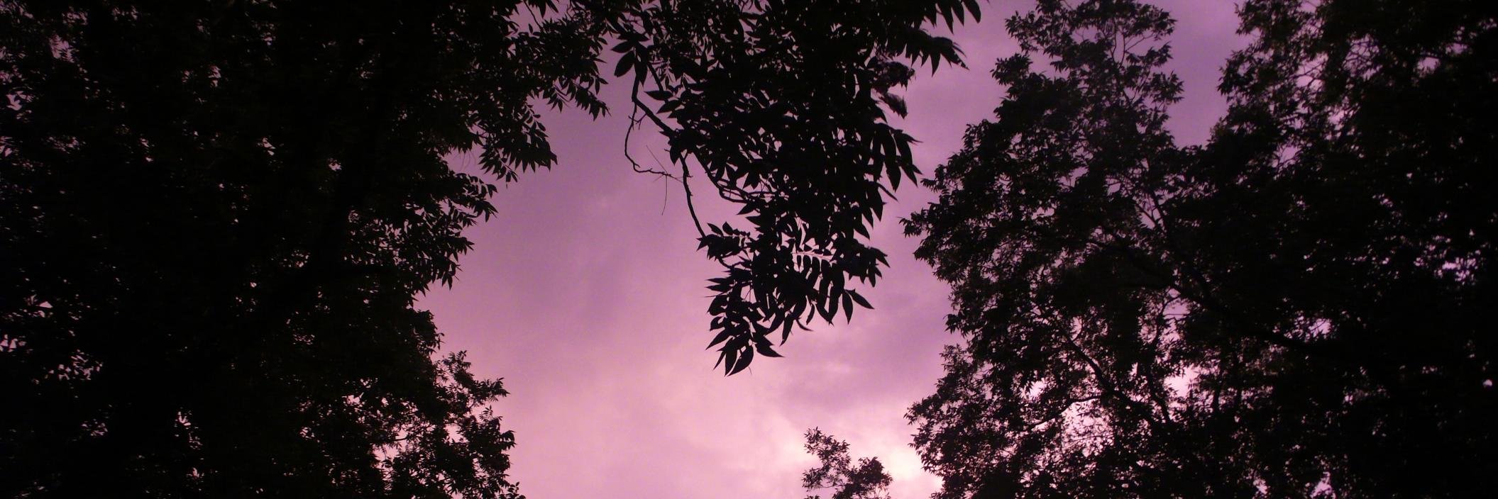CBSessums's profile banner image