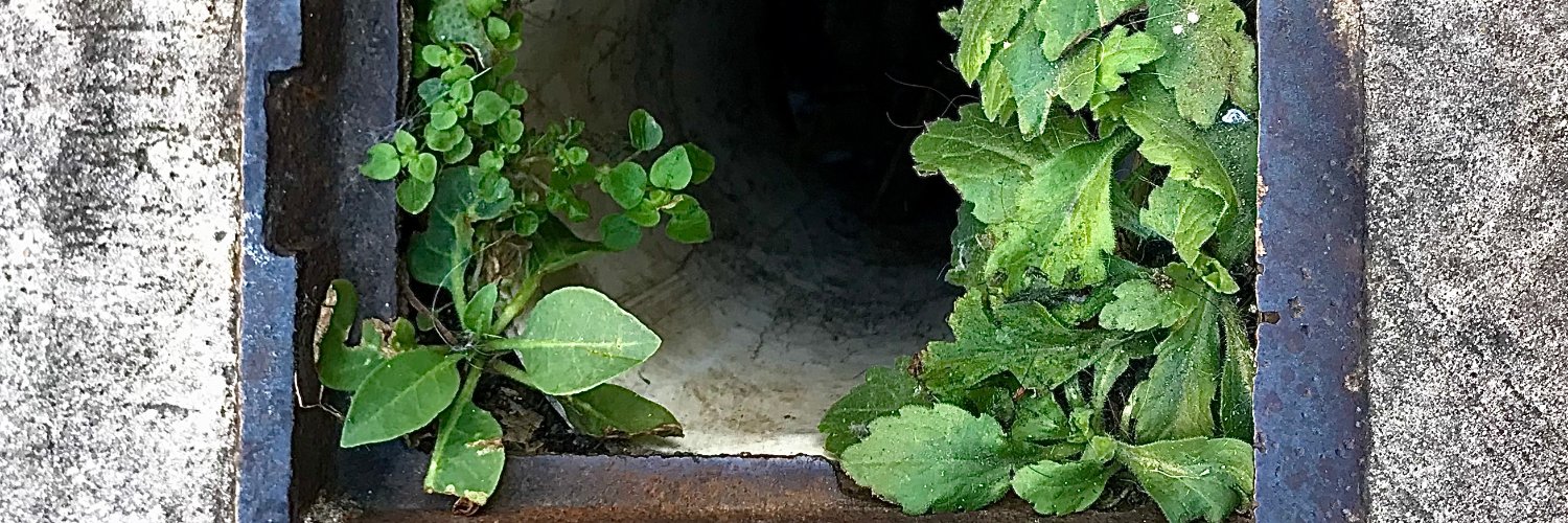 acercadefabio's profile banner image