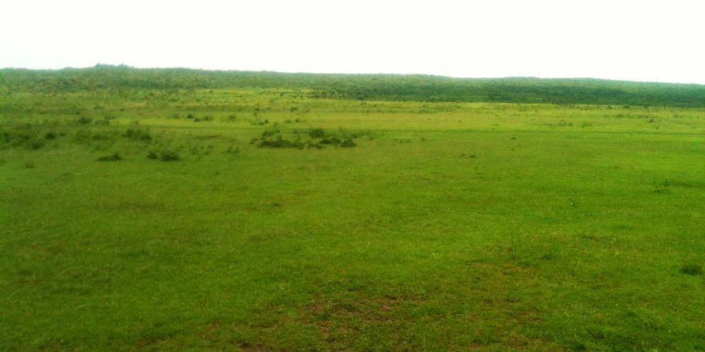 petermugo's profile banner image