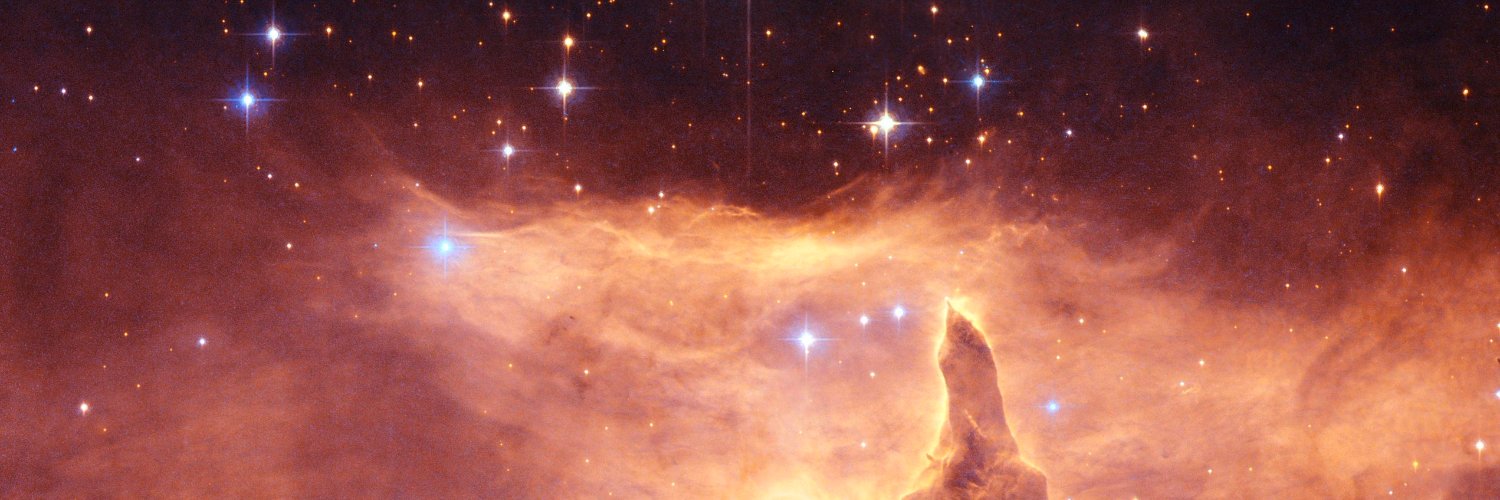 fur63_'s profile banner image