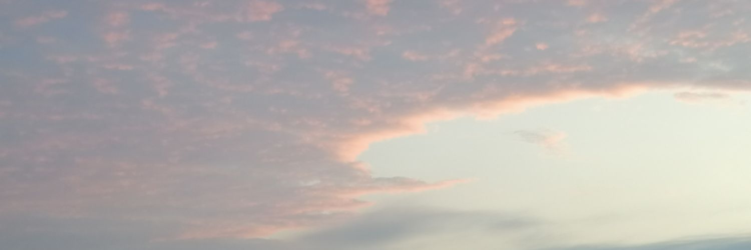 Lee Boon Heng banner