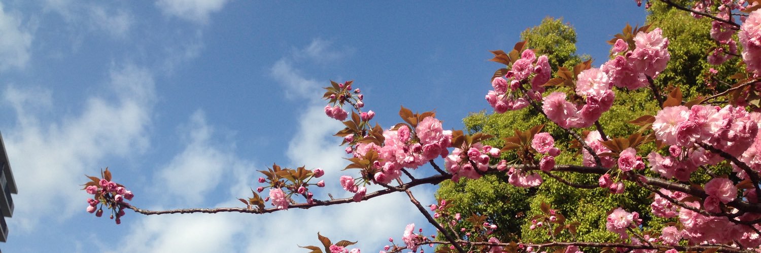 rokumushi's profile banner image