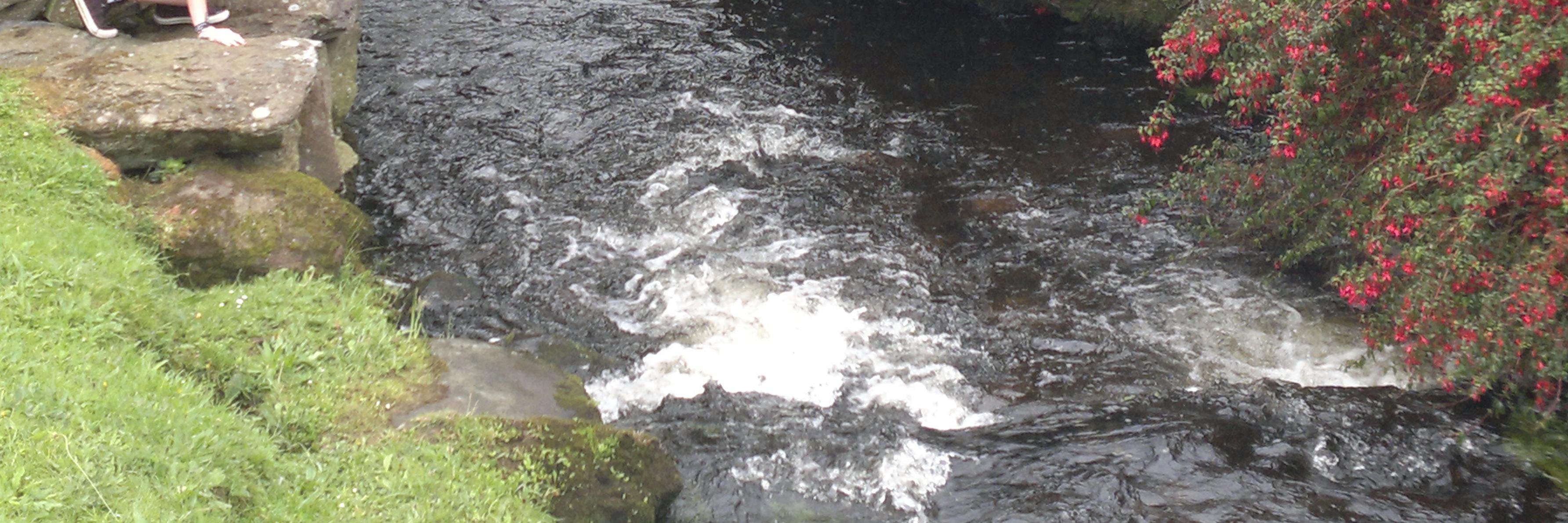 Dingle Holy Stone banner