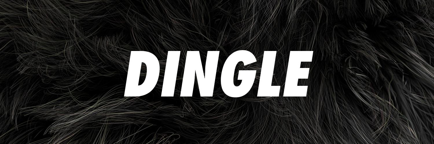 Dingle banner