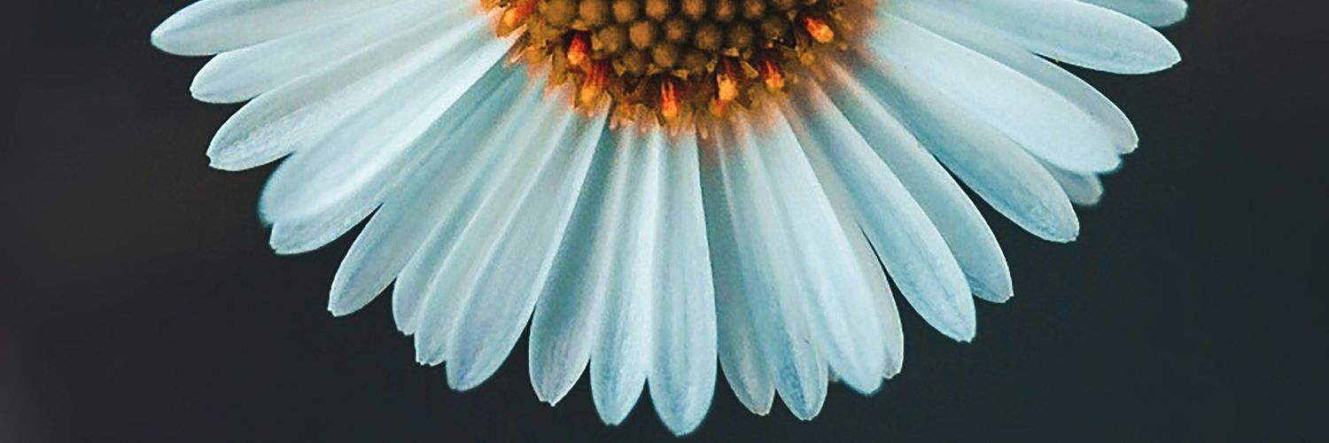 Tumee21's profile banner image