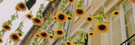 CaldRub's profile banner image